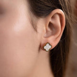 Златиста детелинка със седеф